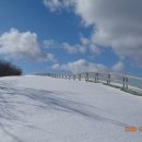 종은목장 이미지