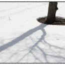 나리 야영장 옆 이미지