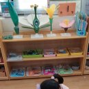 자아몬테소리클래스