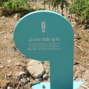 고사리쉼터