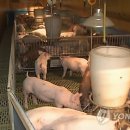 송치농장 이미지