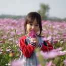세종영재어린이집 이미지