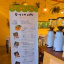 개척농장 | 제주 애월에서 만나는 건강한 K-푸드 체험. 탐나는농장 감귤체험카페 구운과즐 만들기 체험