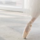 엘리스 성인용품 이미지