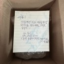 부팅 | 벤츠 블랙박스 고질병 <스타뷰s 이미지센서 불량> 무한 재부팅 수리 후기