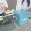 팸퍼스 썸머 팸스티벌 후기 | 신제품도 보고 양손 가득 선물 받아온 오프라인 행사