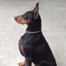 안녕하세요 이미지