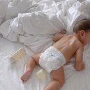 아기곰맘마 이미지