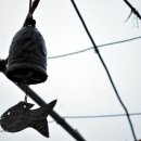 요아킴농장 이미지