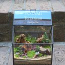 성산구 ⓒ-13 이미지