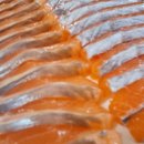 씽씽송어횟집 이미지