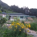 쌍용캠핑장민박 이미지