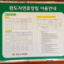 초평문화센터 | [완도여행] 부모님과 함께하기 좋은 완도 여행 코스