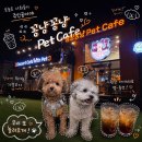 PET사랑 | 대구 앞산 [꽁냥꽁냥 pet cafe] 여기 강아지들 뛰어놀기 진짜 좋다… 🐶🌙