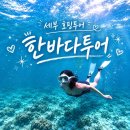세부 호핑투어 한바다호핑 내돈내산 후기