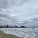 바다와 함께하는 곳 | 부산 송정 오션뷰 카페 추천 – 바다와 감성이 함께하는 ‘수월경화’ 방문 후기