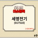 세명전력(주) 이미지