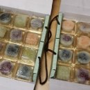 승희네 다육이 | 다육이와 아이스 월병 후기에요