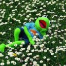 데일리103 이미지