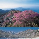 설악산천연보호구역 이미지