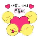 서울아크릴총판