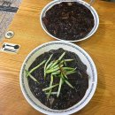 메밀이랑 면이랑 | 우장산역 맛집 송화시장 메밀이랑 면이랑, 내돈내산 찐솔직후기