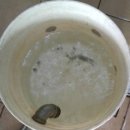 등촌2동365 이미지