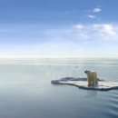 미션세상 이미지