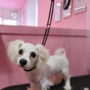 베니펫살롱 이미지