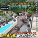 숲속마을부동산공인중개사사무소 | NO.31573.글램핑장매매,캠핑장매매,포천글램핑장