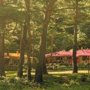 나무숲펜션 이미지