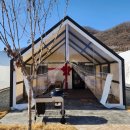 신흥중고등학교 | 동두천 글램핑 추천, 아낌없이주는나무 1박 2일 솔직 후기