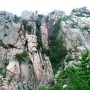 그루터기 이미지