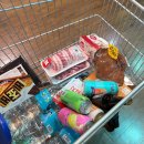 파로티아 워터하우스  호텔 이미지