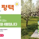 시립평택항어린이집(국공립) | 평택시청 홈페이지 바로가기 (https://www.pyeongtaek.go.kr)