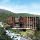 포레스트리솜 이미지