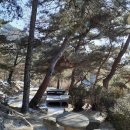 천보체육회 이미지