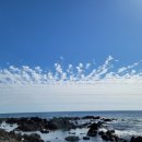 소이연가1713 이미지