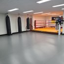 한국체육관 이미지