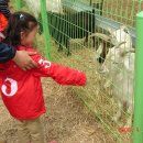 근수목장 이미지