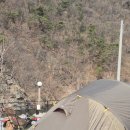 6-221 TS | [양평] 숲이야 캠핑장 A-2 사이트, 또또또또 왔어요 (사실은 솥뚜껑 리뷰)