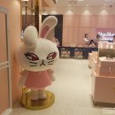 슈슈앤쎄씨서울