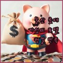 롯데 | 롯데시티호텔 울산 숙박 후기 가성비와 청결함에 만족