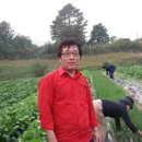 영성농장 이미지