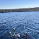 남길 | 삼척 덕산항 낮볼락 첫 탐사 후기,꽝이었지만 남길 만했던 하루