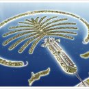 팜 (palm) 이미지