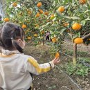 천하축산 이미지