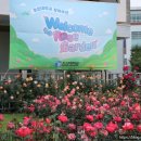 조선대학교 장미원 | 조선대학교 장미 축제 후기&lt; 5월 &gt;