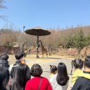 핑크드림 도서관 | [26年 3月 下] 2026년 상반기 최대 실수: 기숙사 취소