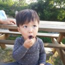 준호농장 이미지